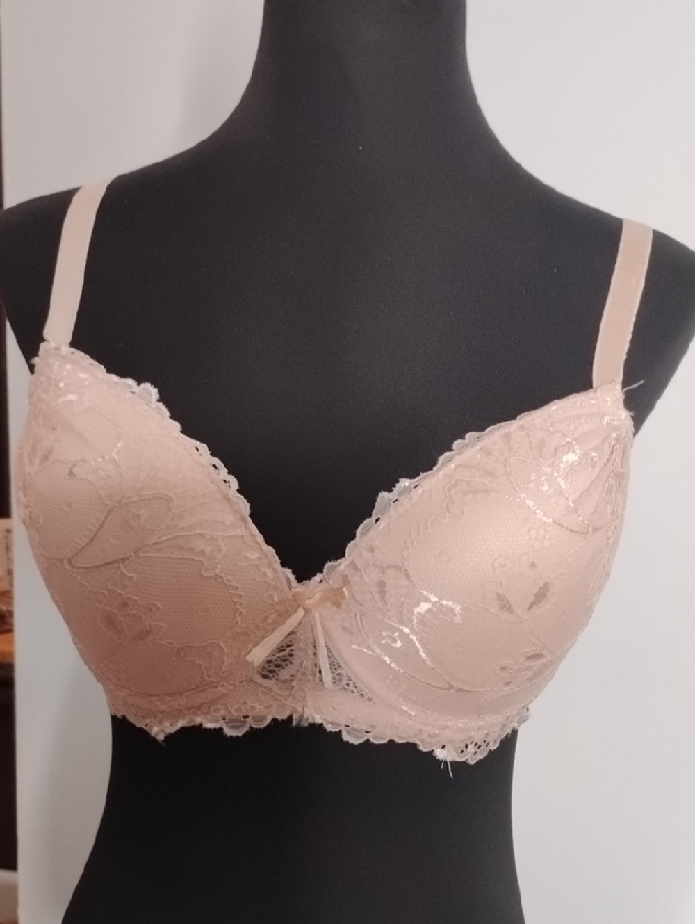 Lace Push-Up Bra in Nude